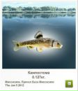 Андрій Михальчишин фотография #50 (источник - https://vk.com/id21426108)