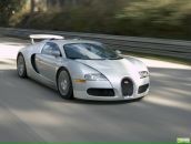 Фотография Volk Alex