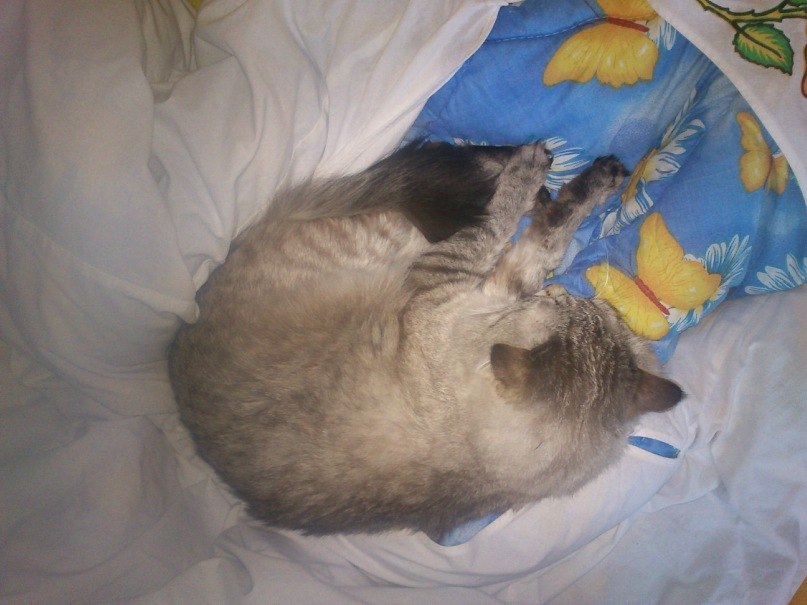 Сергей Плицын фотография #19