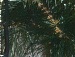 Ілона Чиж фотография #46 (источник - https://vk.com/id68920709)