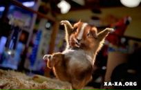 Фотография Романовского Бориса