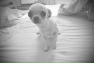 Фотография Булатовой Ольги