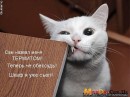 Сергій Чубар фотография #7 (источник - https://vk.com/id69593597)