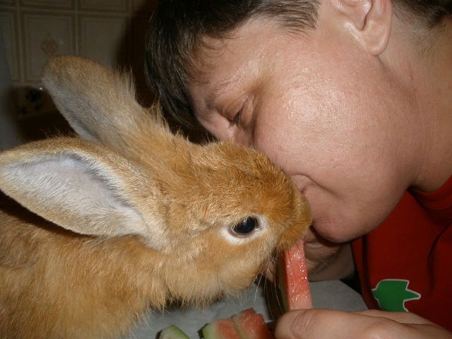 Анна Мищенко фотография #7