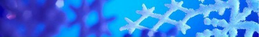 Дімон Пахолок фотография #43 (источник - https://vk.com/id132823706)