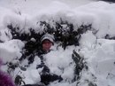 Фотография Литвиненко Светланы
