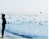 Фотография R nova Che