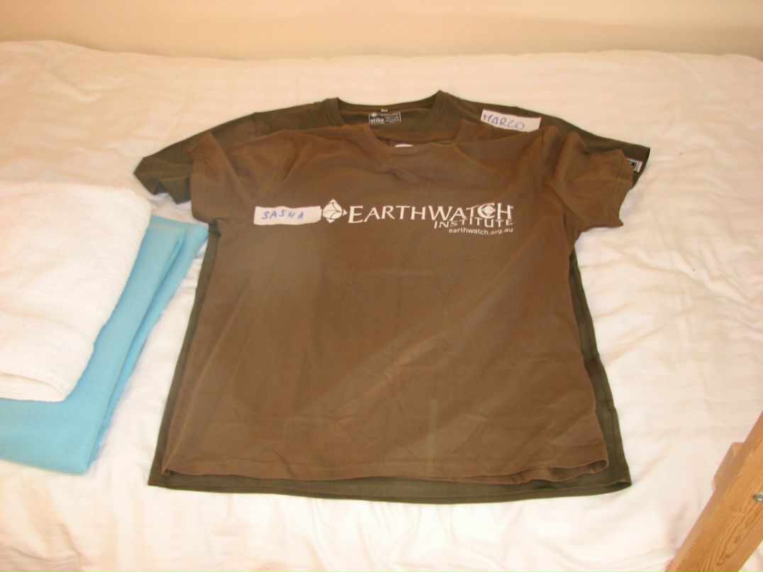 Ромул Рем фотография #23