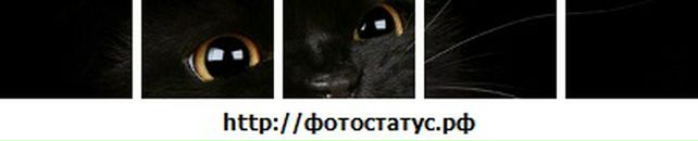 Лілюсік Калінчук фотография #35 (источник - https://vk.com/id66320175)