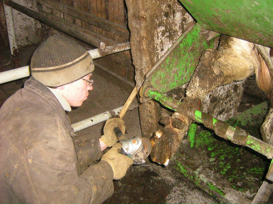 Иван Плотников фотография #38