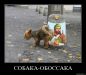 фотография #33