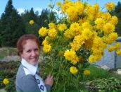 Фотография Голеневой Полинки