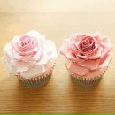 Амина Мустафаєва фотография #23 (источник - https://vk.com/id137642912)