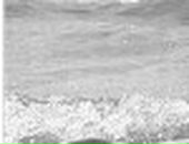 Марішта Боровська фотография #44 (источник - https://vk.com/id123799628)