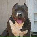 Рома Діксон фотография #5 (источник - https://vk.com/id112495876)