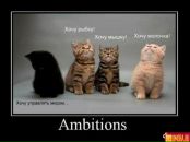 Антон Киреев фотография #27 (источник - https://vk.com/id1900917)