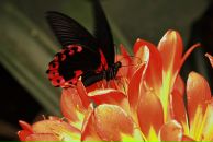 Фотография Газизьяновой Гузель