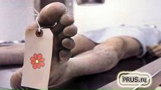 Фотография Грунского Андрея