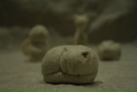 Фотография Баландиной Екатерины