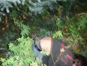 Чорно Білий фотография #26 (источник - https://vk.com/id77946927)