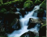 Андрій Тарасюк фотография #31 (источник - https://vk.com/id77022131)