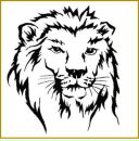 Сергій Ковальчук фотография #17 (источник - https://vk.com/id69613818)