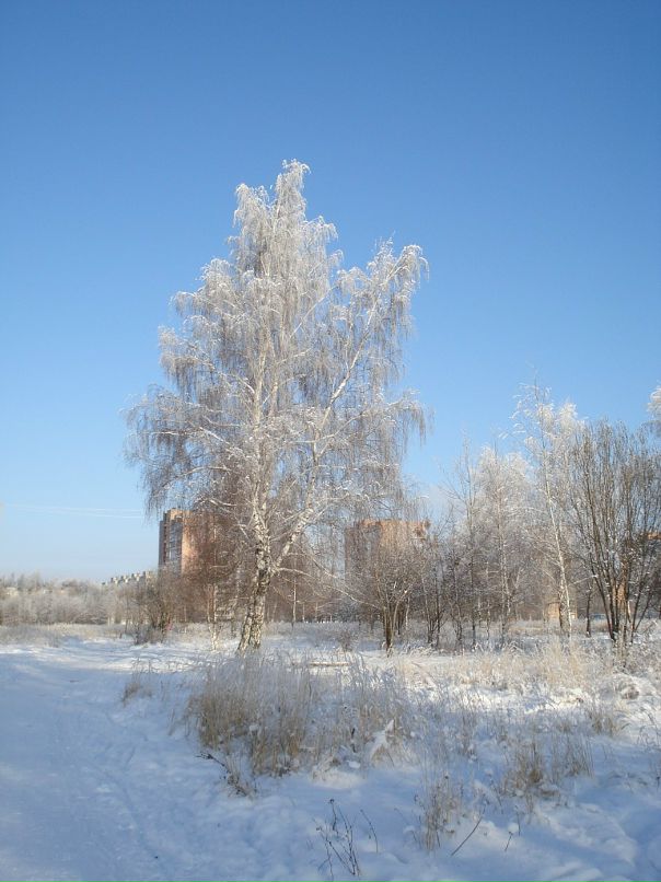 Дмитрий Лаёв фотография #34