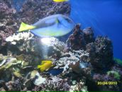 Андрій Шакуда фотография #48 (источник - https://vk.com/id86138264)