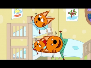 Факты о котятах