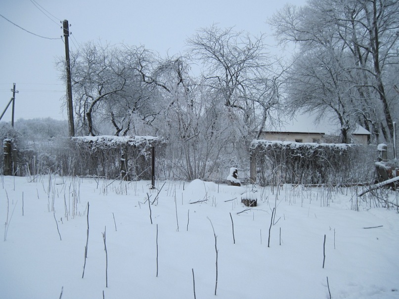 Руслан Мартыненко фотография #26