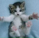 Фотография Васильева Романа