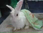 Фотография Шайдуллиной Владиславы