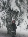 Діма Живко фотография #41 (источник - https://vk.com/id136159973)