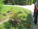 Ілюша Гаєвський фотография #40 (источник - https://vk.com/id49575588)