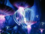 Фотография Васюковой Александры