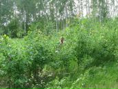 Олександр Іценко фотография #4 (источник - https://vk.com/id49919628)