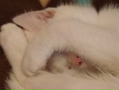 Дмитрий Вдовин фотография #17 (источник - https://vk.com/id636001)