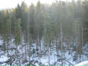 Христинка Невідомська фотография #49 (источник - https://vk.com/id40470620)