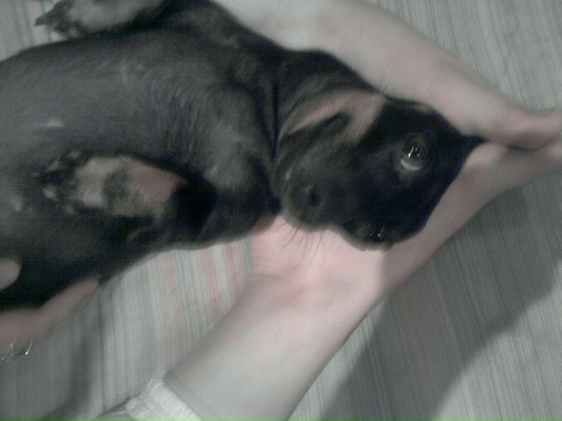 ...н@т@лья... ************** фотография #14