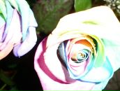 Valya Electra фотография #5 (источник - https://vk.com/id6094904)