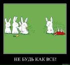 Фотография Сердюк Жанны