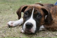 Кирилл Митяев фотография #9 (источник - https://vk.com/id6828811)