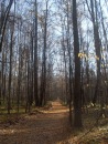 Фотография Ганиева Айрата