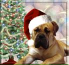 Фотография Мельниковой Елены