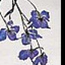 Олічка Грицина фотография #43 (источник - https://vk.com/id145502309)