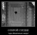 Анатолий Симоненко фотография #47 (источник - https://vk.com/id3399989)