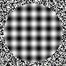 Фотография Кочнова Костяна Лазаря