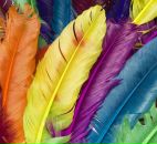 Фотография Заживихиной Юли