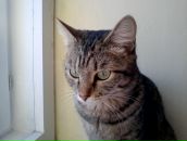 Фотография Муту Оксаны