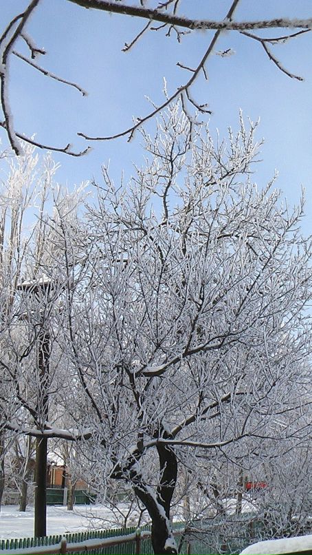 Евгений Татарченко фотография #42